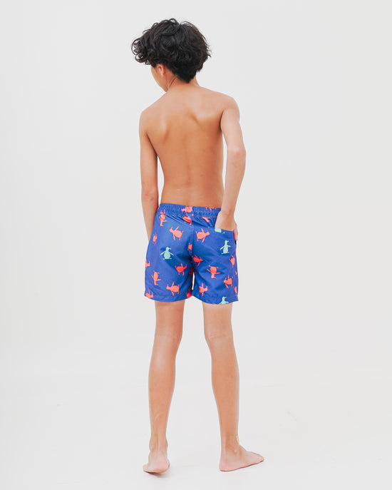 Load image into Gallery viewer, Boys Swim Shorts - Happy
