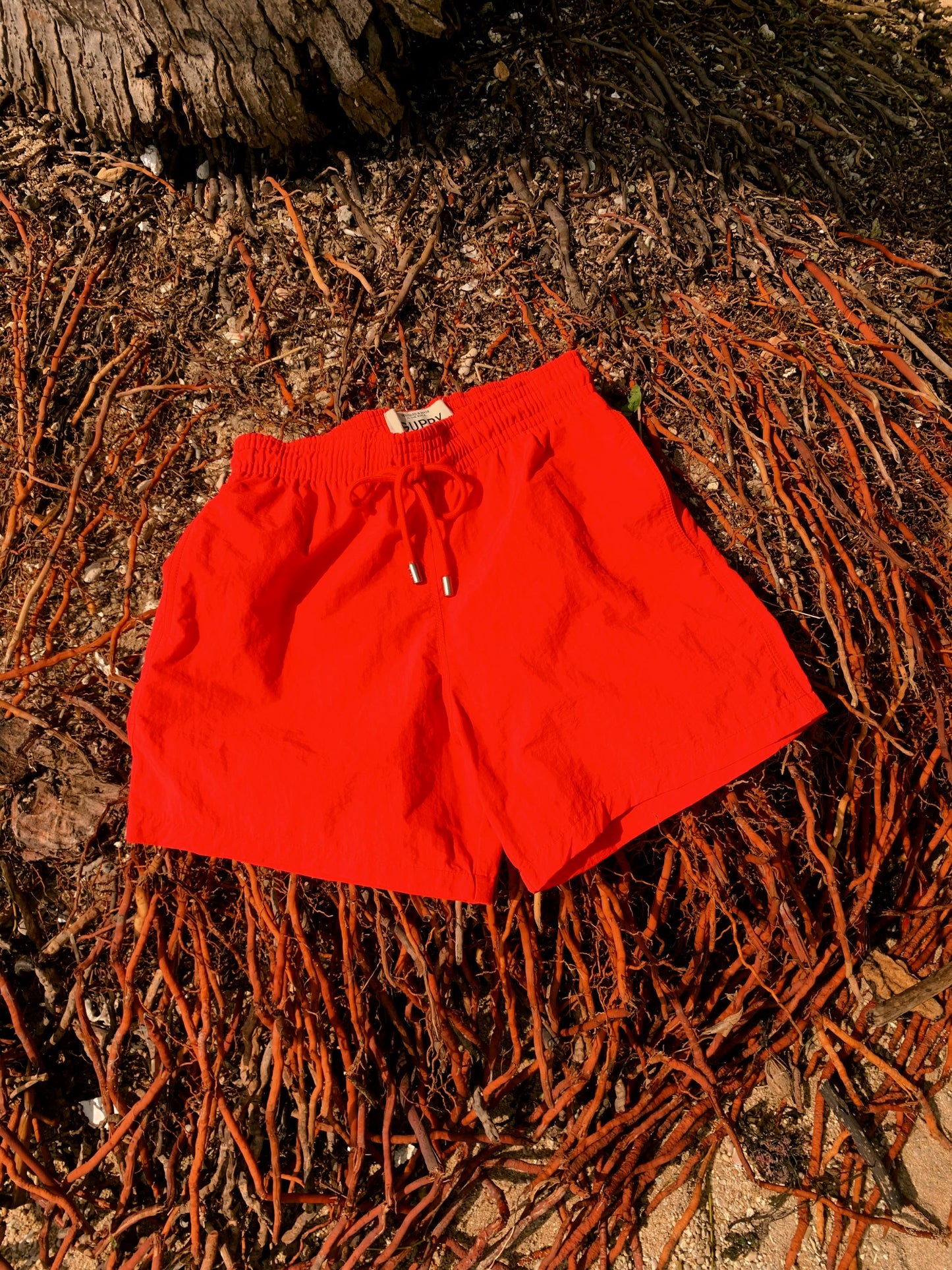 Clay Core Swim Shorts