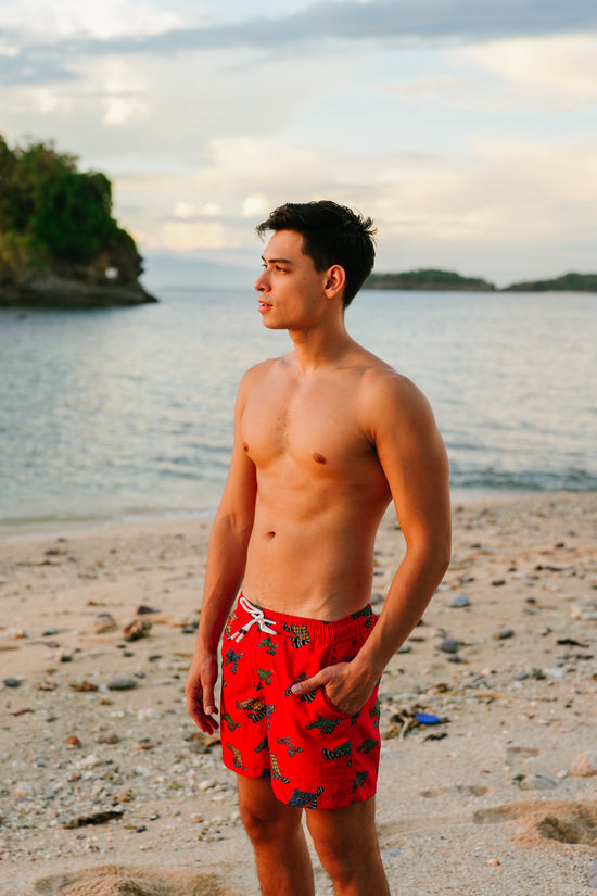 Gian Swim Shorts